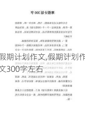 假期计划作文,假期计划作文300字左右-第2张图片-星梦范文网