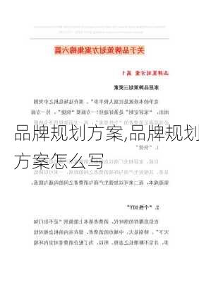 品牌规划方案,品牌规划方案怎么写-第3张图片-星梦范文网