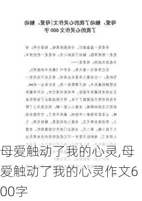 母爱触动了我的心灵,母爱触动了我的心灵作文600字