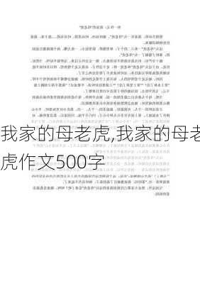 我家的母老虎,我家的母老虎作文500字