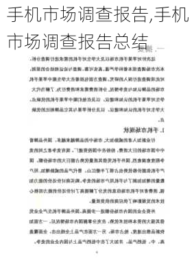 手机市场调查报告,手机市场调查报告总结-第2张图片-星梦范文网