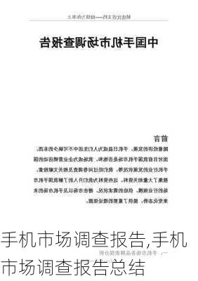 手机市场调查报告,手机市场调查报告总结-第3张图片-星梦范文网