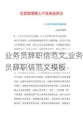 业务员辞职信范文,业务员辞职信范文模板-第3张图片-星梦范文网