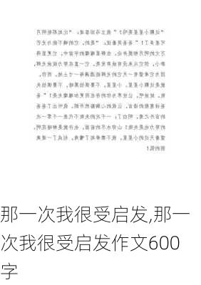 那一次我很受启发,那一次我很受启发作文600字