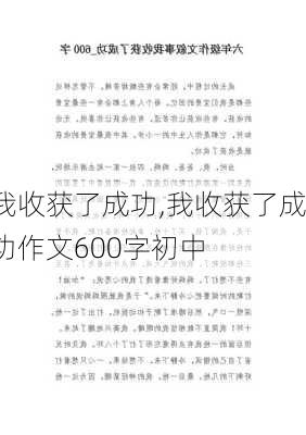 我收获了成功,我收获了成功作文600字初中-第3张图片-星梦范文网