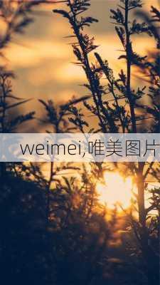 weimei,唯美图片-第2张图片-星梦范文网