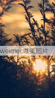 weimei,唯美图片-第2张图片-星梦范文网