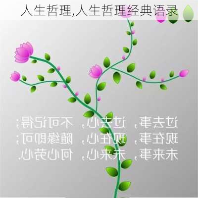 人生哲理,人生哲理经典语录-第2张图片-星梦范文网