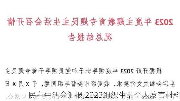 民主生活会汇报,2023组织生活个人发言材料-第3张图片-星梦范文网