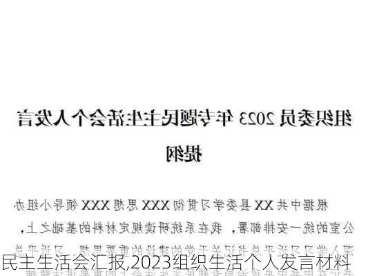 民主生活会汇报,2023组织生活个人发言材料-第2张图片-星梦范文网