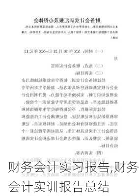 财务会计实习报告,财务会计实训报告总结-第2张图片-星梦范文网