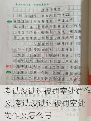 考试没试过被罚室处罚作文,考试没试过被罚室处罚作文怎么写-第2张图片-星梦范文网