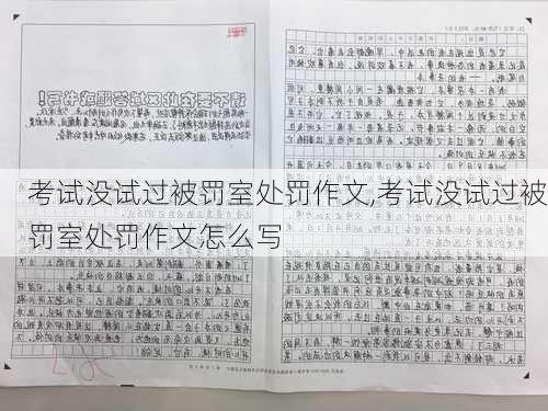 考试没试过被罚室处罚作文,考试没试过被罚室处罚作文怎么写