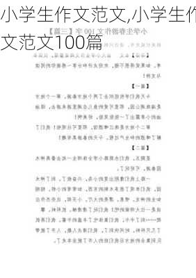 小学生作文范文,小学生作文范文100篇-第3张图片-星梦范文网