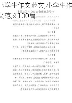 小学生作文范文,小学生作文范文100篇-第3张图片-星梦范文网