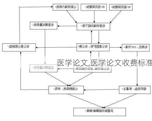 医学论文,医学论文收费标准-第2张图片-星梦范文网