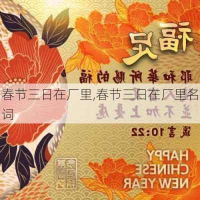 春节三日在厂里,春节三日在厂里名词-第2张图片-星梦范文网