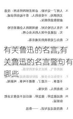 有关鲁迅的名言,有关鲁迅的名言警句有哪些-第3张图片-星梦范文网