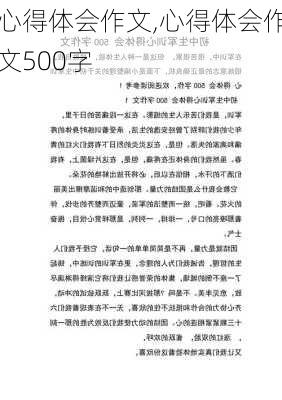 心得体会作文,心得体会作文500字-第2张图片-星梦范文网