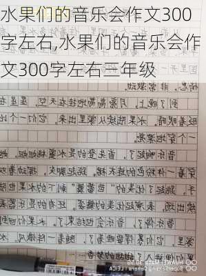 水果们的音乐会作文300字左右,水果们的音乐会作文300字左右三年级-第2张图片-星梦范文网