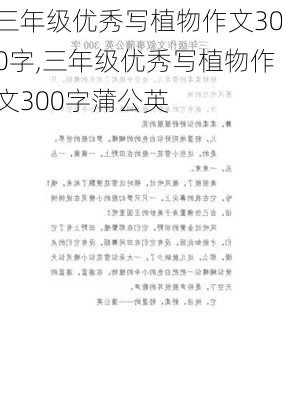 三年级优秀写植物作文300字,三年级优秀写植物作文300字蒲公英-第2张图片-星梦范文网