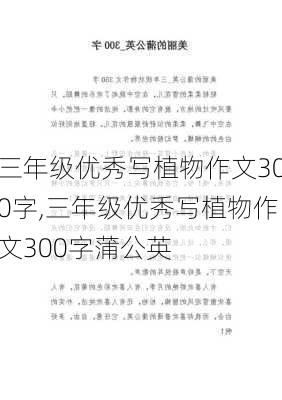 三年级优秀写植物作文300字,三年级优秀写植物作文300字蒲公英-第3张图片-星梦范文网