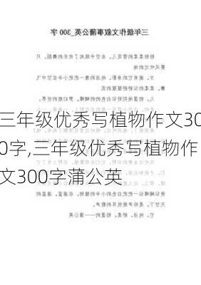 三年级优秀写植物作文300字,三年级优秀写植物作文300字蒲公英-第2张图片-星梦范文网