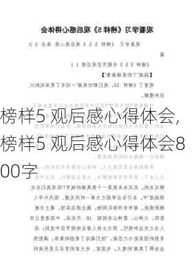 榜样5 观后感心得体会,榜样5 观后感心得体会800字