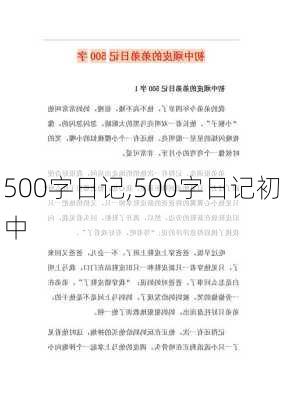 500字日记,500字日记初中