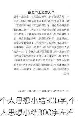 个人思想小结300字,个人思想小结300字左右-第2张图片-星梦范文网