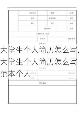 大学生个人简历怎么写,大学生个人简历怎么写 范本个人-第3张图片-星梦范文网