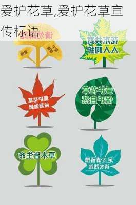 爱护花草,爱护花草宣传标语-第3张图片-星梦范文网