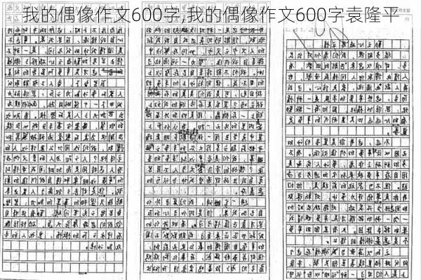 我的偶像作文600字,我的偶像作文600字袁隆平