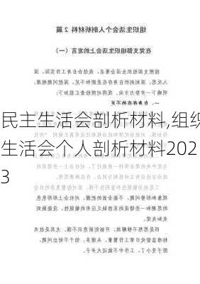 民主生活会剖析材料,组织生活会个人剖析材料2023