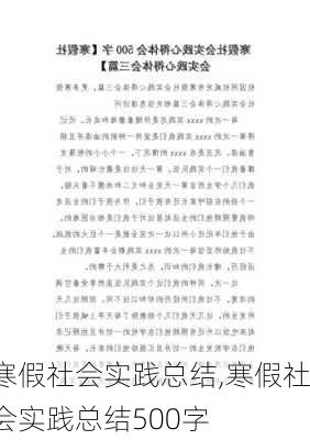 寒假社会实践总结,寒假社会实践总结500字