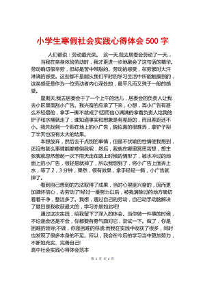 寒假社会实践总结,寒假社会实践总结500字-第3张图片-星梦范文网