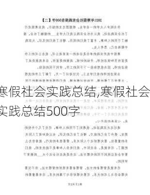 寒假社会实践总结,寒假社会实践总结500字-第2张图片-星梦范文网