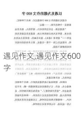 遇见作文,遇见作文600字-第2张图片-星梦范文网