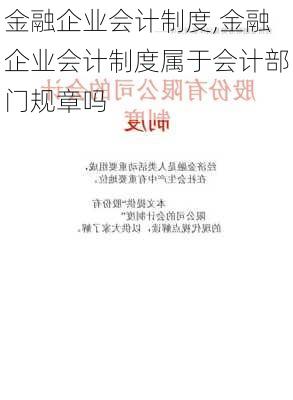 金融企业会计制度,金融企业会计制度属于会计部门规章吗-第2张图片-星梦范文网