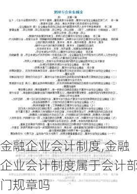 金融企业会计制度,金融企业会计制度属于会计部门规章吗-第3张图片-星梦范文网