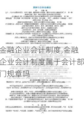 金融企业会计制度,金融企业会计制度属于会计部门规章吗-第3张图片-星梦范文网