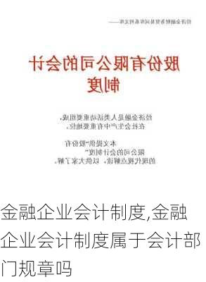 金融企业会计制度,金融企业会计制度属于会计部门规章吗-第2张图片-星梦范文网