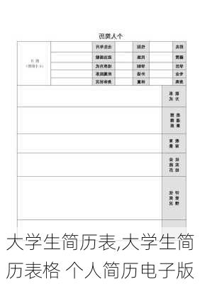 大学生简历表,大学生简历表格 个人简历电子版-第2张图片-星梦范文网