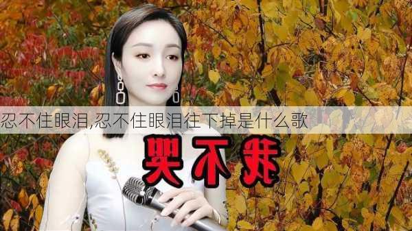 忍不住眼泪,忍不住眼泪往下掉是什么歌-第3张图片-星梦范文网