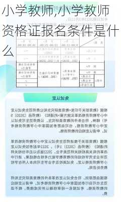 小学教师,小学教师资格证报名条件是什么-第1张图片-星梦范文网