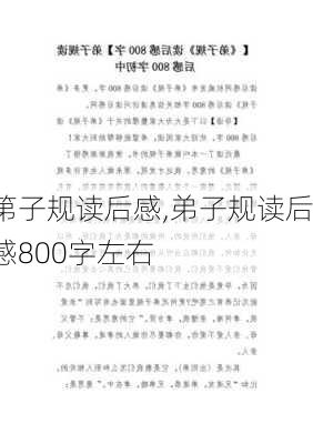 第子规读后感,弟子规读后感800字左右-第2张图片-星梦范文网