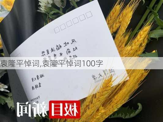 袁隆平悼词,袁隆平悼词100字-第2张图片-星梦范文网