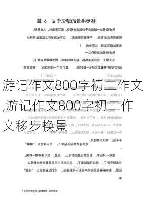 游记作文800字初二作文,游记作文800字初二作文移步换景-第3张图片-星梦范文网