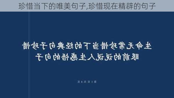 珍惜当下的唯美句子,珍惜现在精辟的句子-第2张图片-星梦范文网