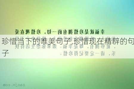 珍惜当下的唯美句子,珍惜现在精辟的句子